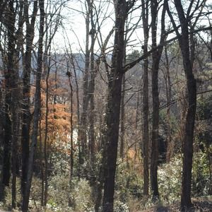 Meet your Posher, Jimmy